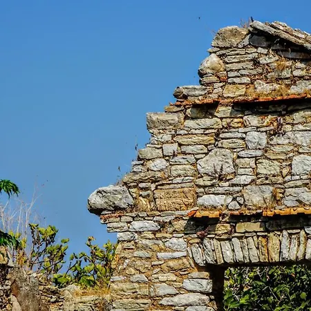Armonia House *