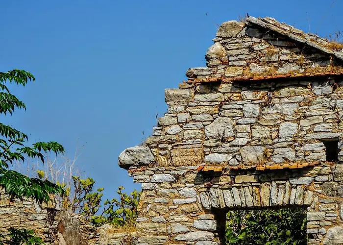 Armonia House *