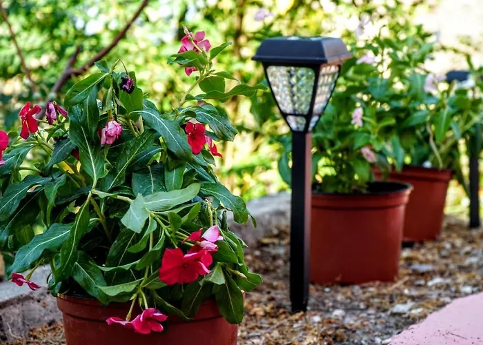 Armonia House سيمي